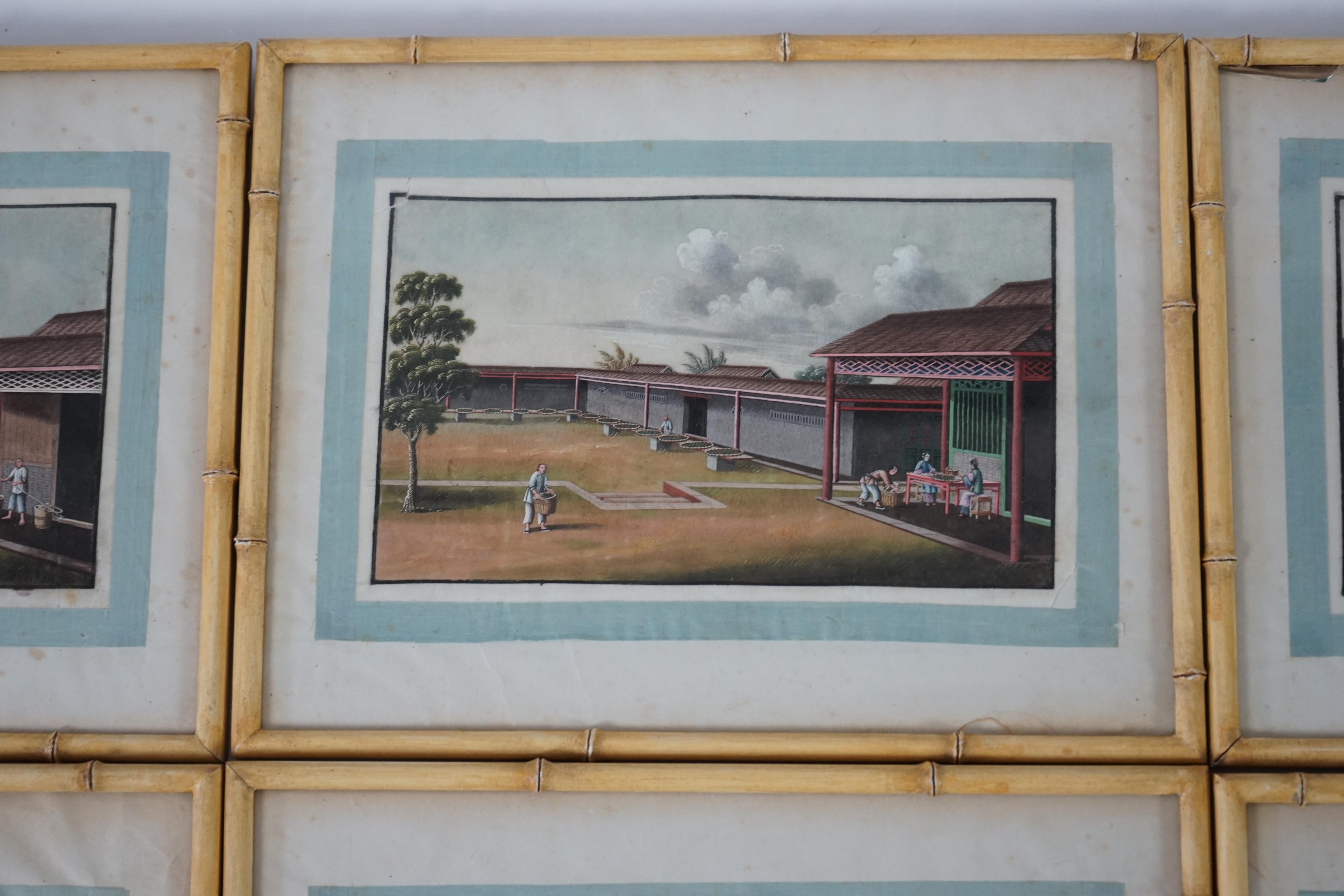 A set of twelve Chinese gouache paintings on pith paper of tea production, circle of Tingqua c.1840